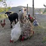 Natura Natura 农家乐