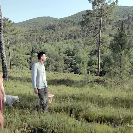 Gospodarstwo agroturystyczne Natura Natura *