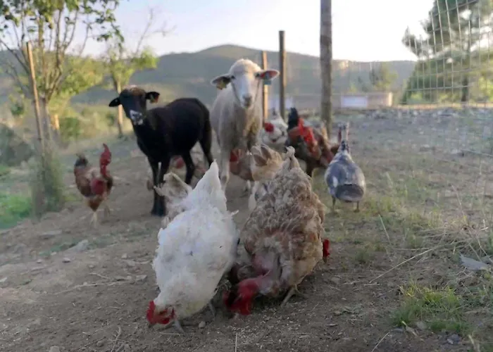 Natura Natura 팜스테이