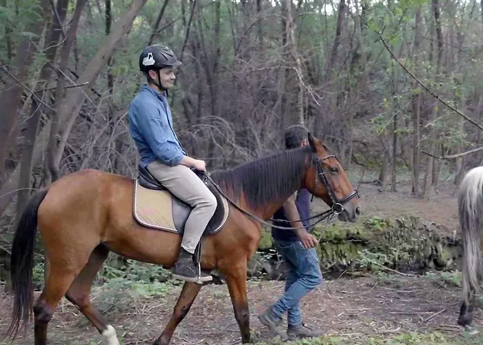 팜스테이 Natura Natura *
